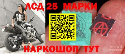 гидропоника Жуковский