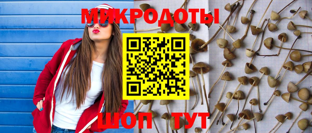Псилоцибиновые грибы мухоморы  Вход с VPN  Мурино 